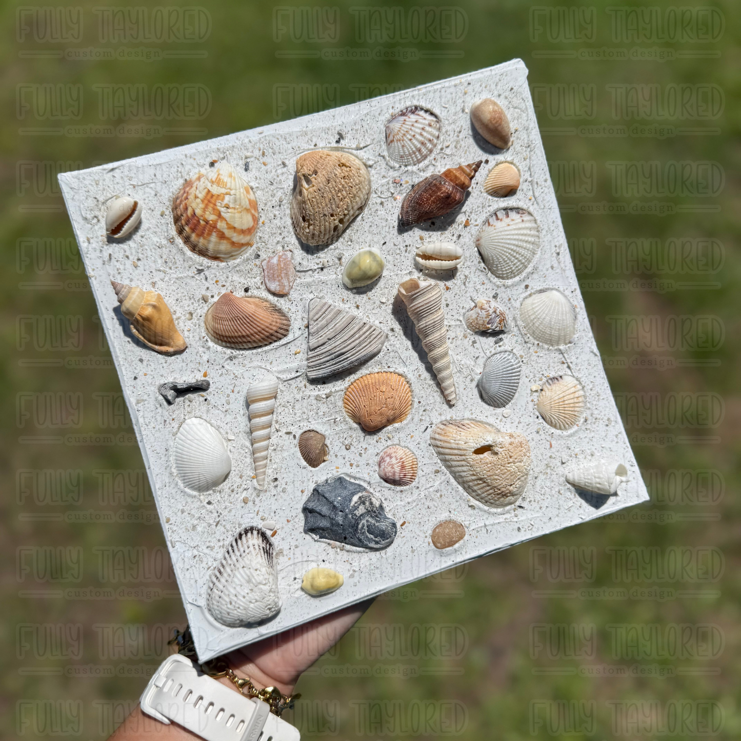 Textured Shells Original Canvas